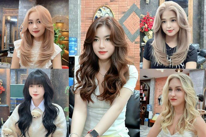 Bắc Trần Tiến - Hình ảnh 1