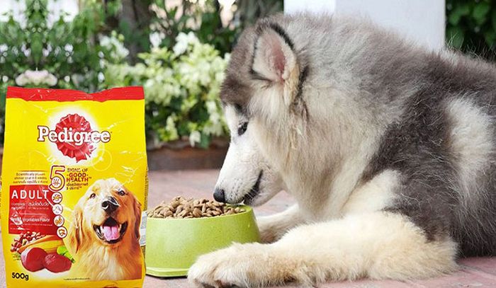 Hình ảnh thức ăn cho chó PEDIGREE 2
