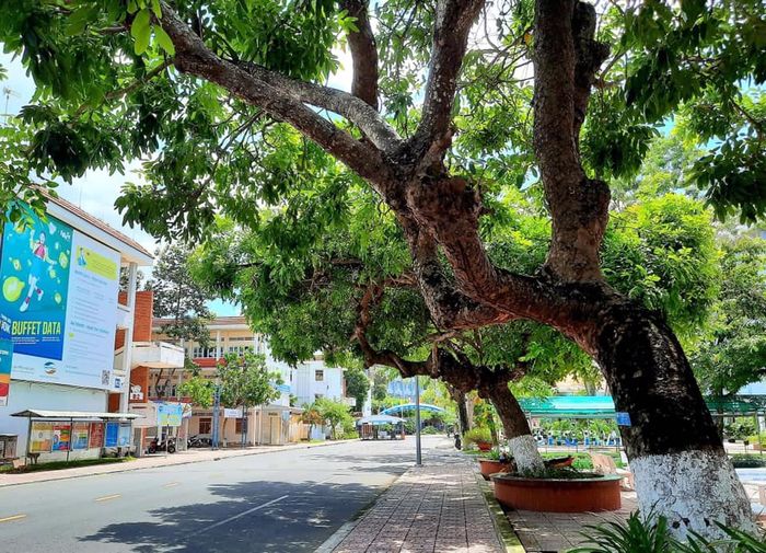 Hình ảnh Trường Đại học Đồng Tháp số 1