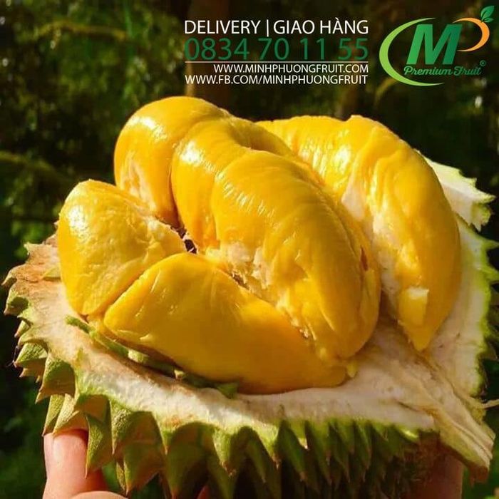 Hình ảnh 2 của Minh Phuong Fruit - Trái cây nhập khẩu
