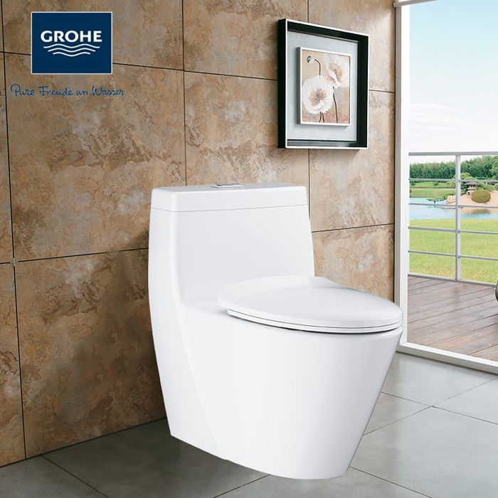 Hình ảnh bồn cầu Grohe 2