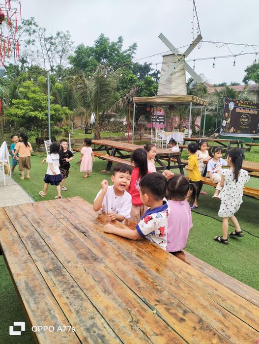 Trường Mầm Non DPA - Hình ảnh 1