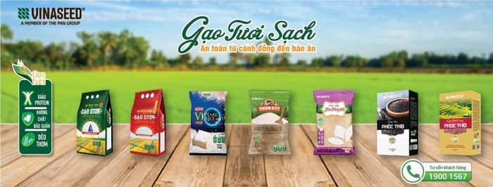 Hình ảnh gạo Vinaseed 2