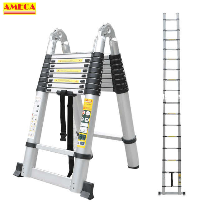 Hình ảnh Ameca 1