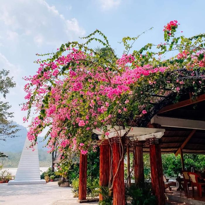 Ảnh không gian ngoại cảnh nhà hàng 2
