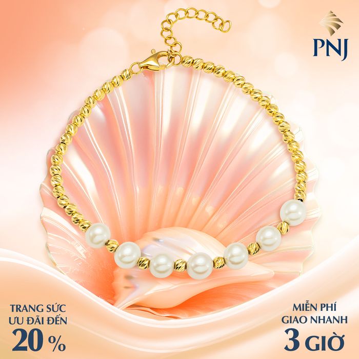 Hình ảnh PNJ 1