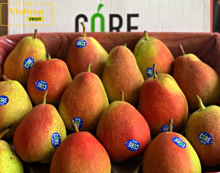 Hình ảnh của Viettropfruit - Trái cây sạch đạt tiêu chuẩn GlobalG.A.P 1