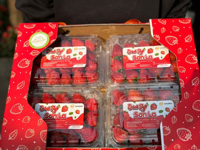 Gold Fruit - Trái cây sạch Hà Nội - Hình ảnh 2