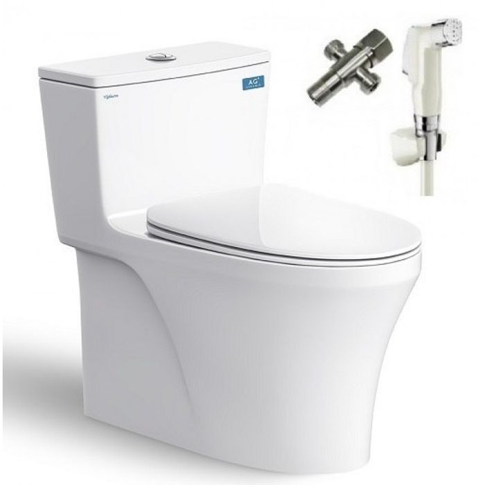 Bồn cầu Viglacera hình 2