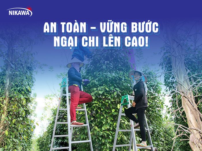 Hình ảnh thang nhôm Nikawa 2