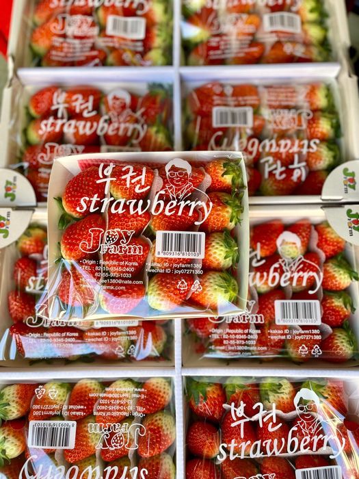 Hình ảnh 2 của Viettropfruit - Trái cây sạch đạt tiêu chuẩn GlobalG.A.P