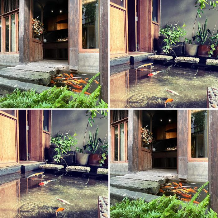 Ảnh 2 của Here & Now Vegetarian