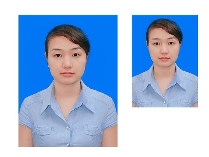 Hình minh họa ảnh 1