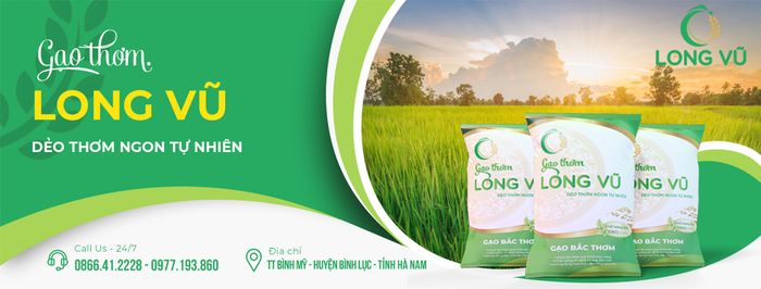 Hình ảnh gạo Long Vũ 2