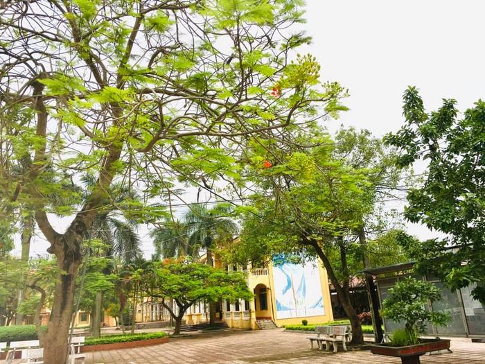 Hình ảnh 2 của THPT Nguyễn Thái Học