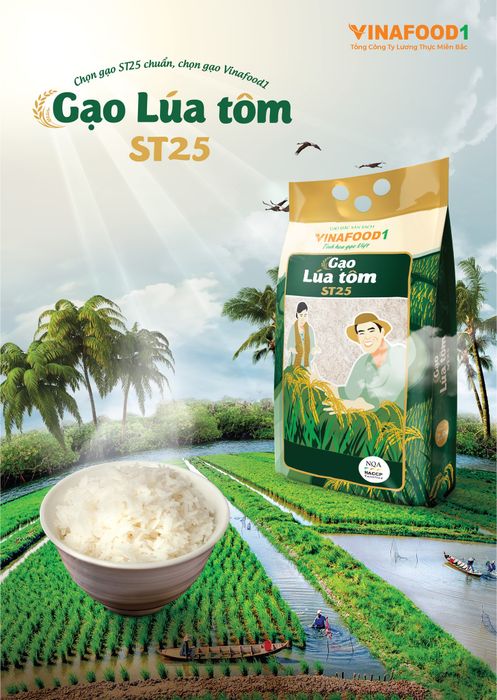 Hình ảnh gạo Vinafood 1