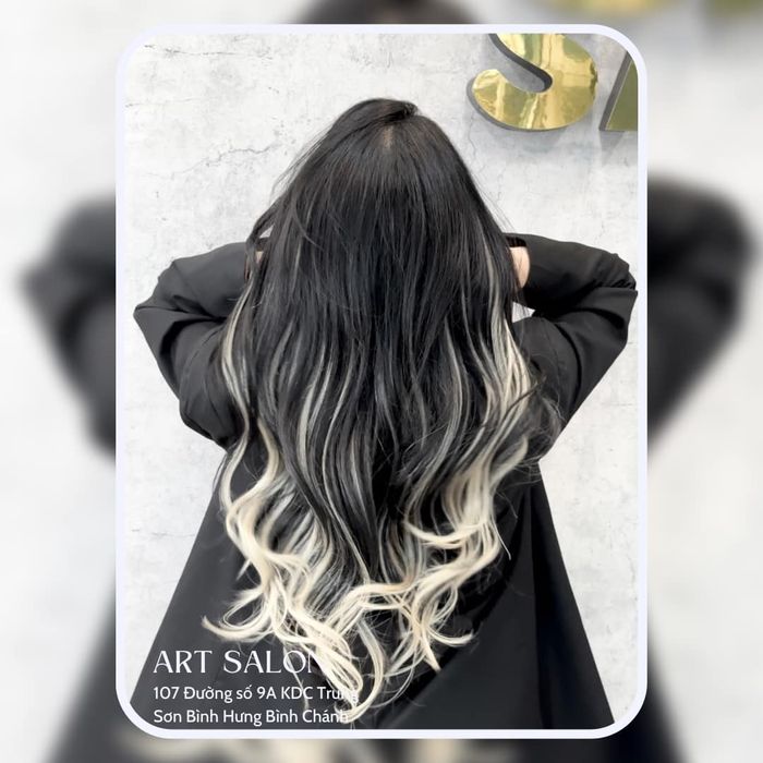 Salon Nghệ Thuật ảnh 2