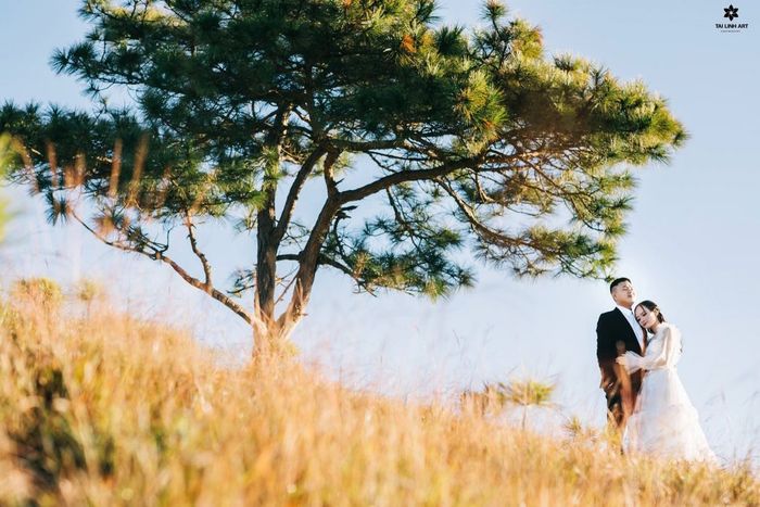 Hình ảnh 3 của Studio Nghệ Thuật Tài Linh