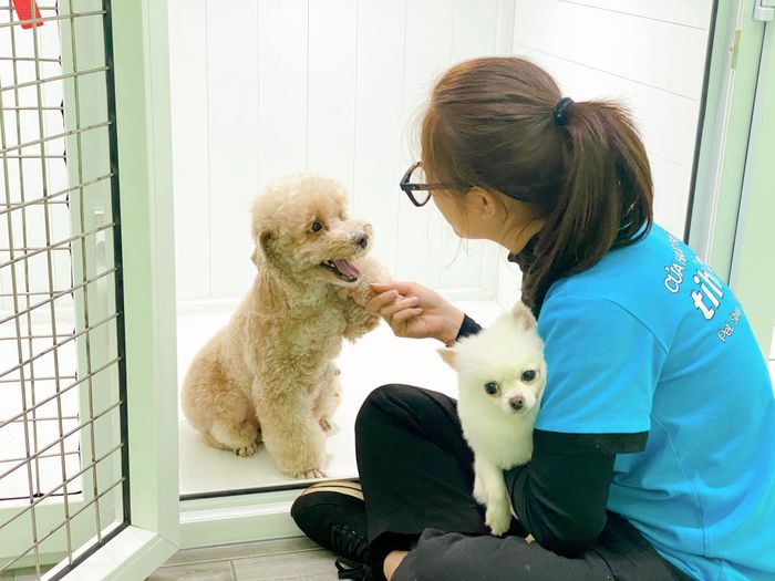 Ảnh của TiHi Pet Shop - Spa & Hotel Thú Cưng 1