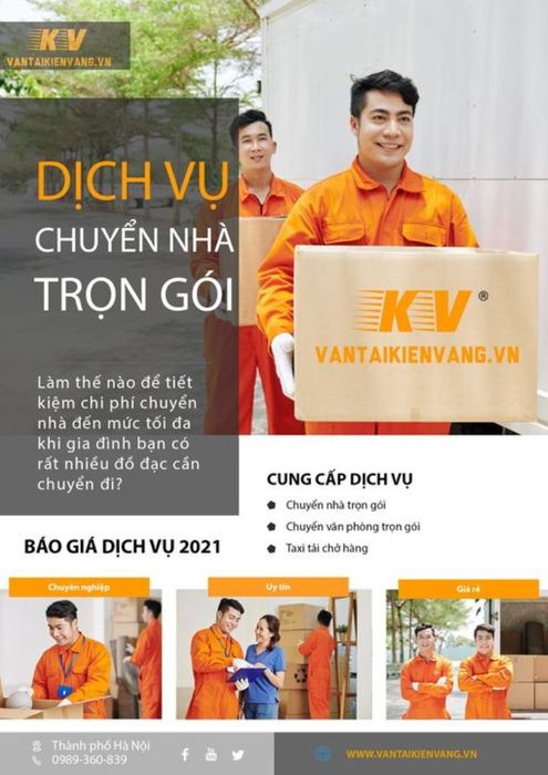 Kiến Vàng Hà Nội - Hình ảnh 1