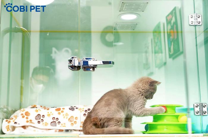 Hình ảnh Cobi Pet Stor 2