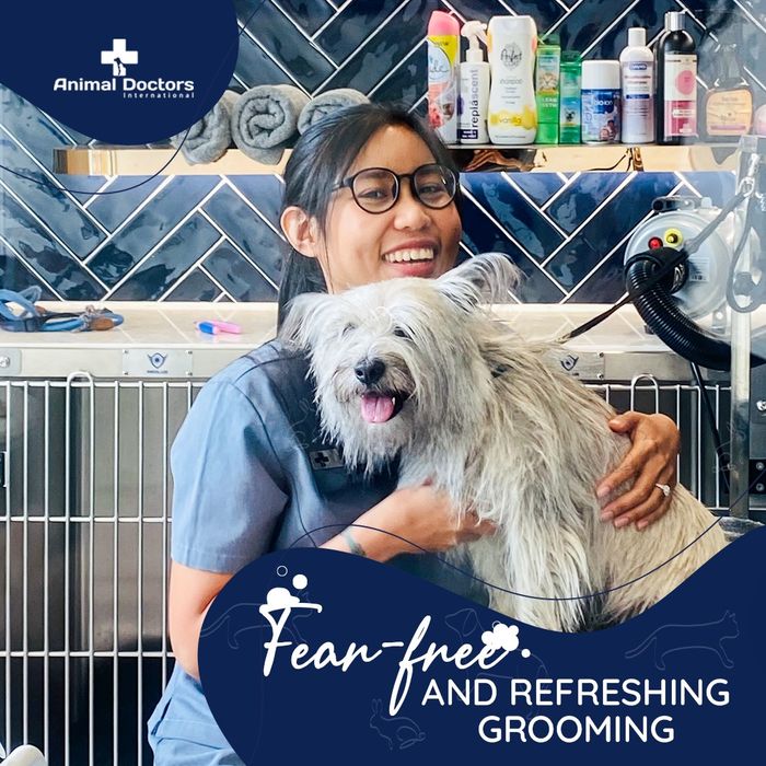 Hình ảnh của Animal Doctors International 2