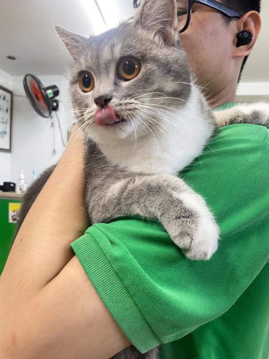 Hình ảnh 3 của Bệnh Viện Thú Y Petcare