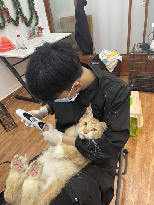 Hình ảnh Nhà Pet Okyo 3