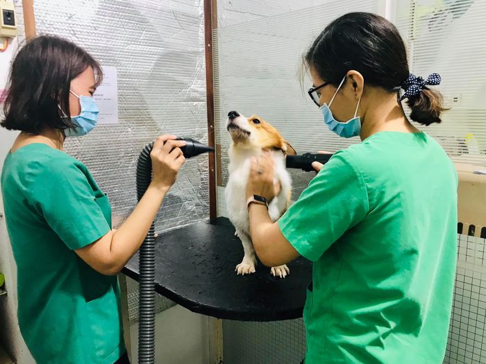 Hình ảnh 1 của Bệnh Viện Thú Y Petcare