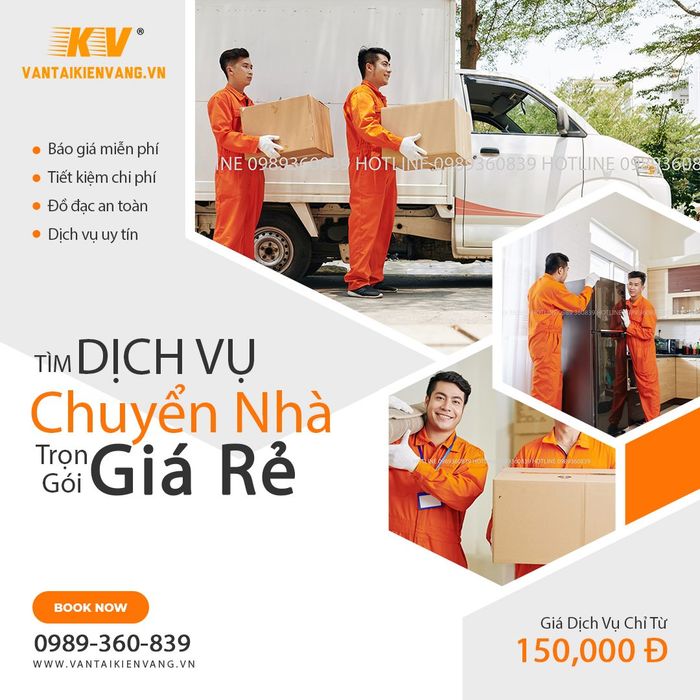 Kiến Vàng Hà Nội - Hình ảnh 2