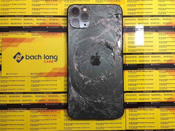 Hình ảnh 1 của Bạch Long Care