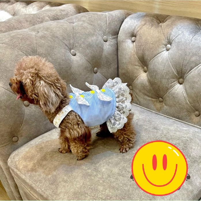Hình ảnh RinRin Petcare 1