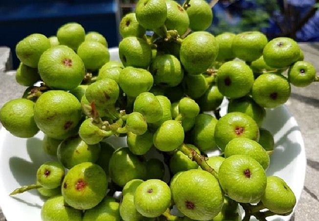 Hình ảnh minh họa (Nguồn Internet) - ảnh 2