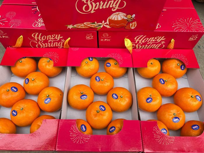 Yến Thành Fruits - Hình ảnh 2