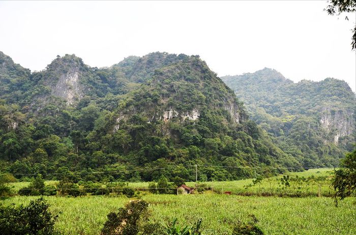 Hình ảnh hang Con Moong 1