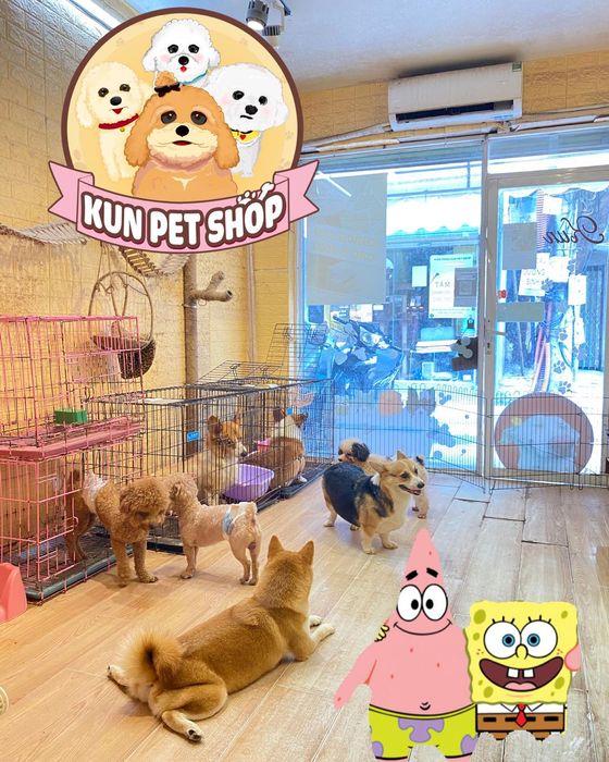 Ảnh của CỬA HÀNG THÚ CƯNG KUN 1