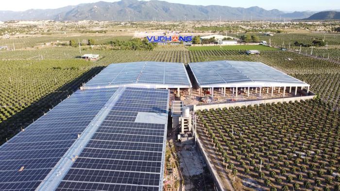 Hình ảnh Công ty Cổ phần Điện mặt trời Vũ Phong 1