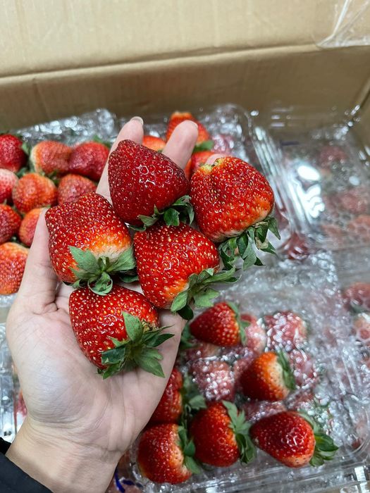 Hình ảnh F5 Fruitshop 3