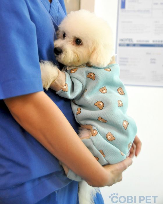 Hình ảnh Cobi Pet Stor 1