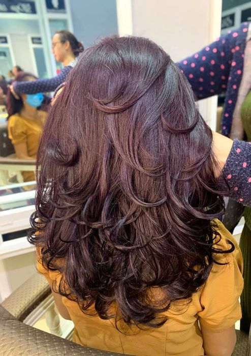 SaLon Luân Nguyễn - Hình ảnh 2