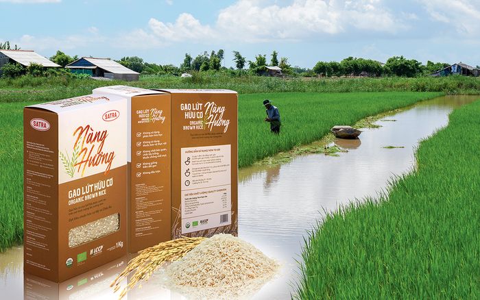 Hình ảnh 2 của Gạo lứt trắng hữu cơ Nàng Hương