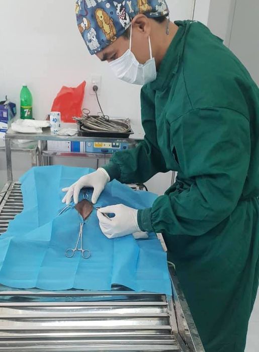 Bệnh viện thú y Lạng Sơn - Hình 3