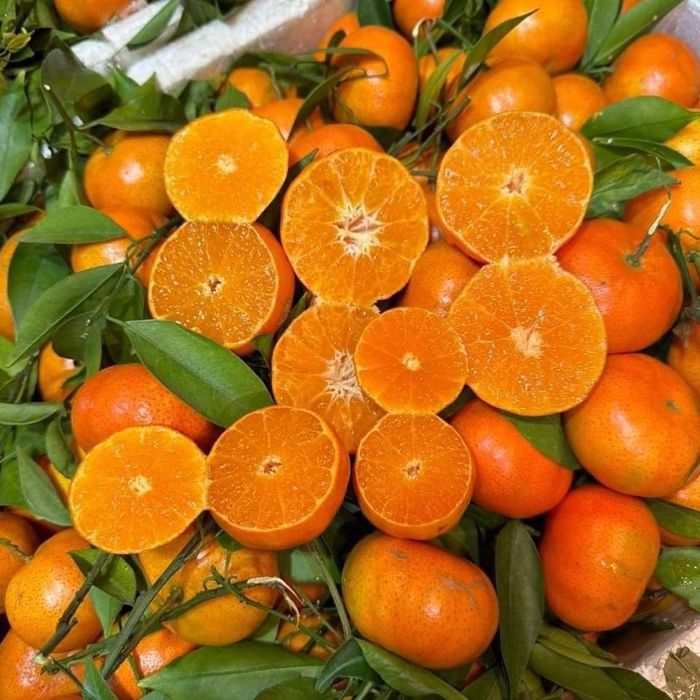 Hình ảnh 2 của Farm Plus