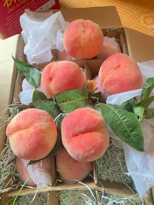 Hình ảnh 2 của ChuFruits