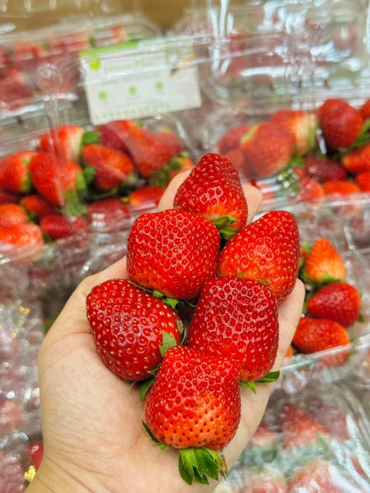 Hình ảnh 1 của Farm Plus