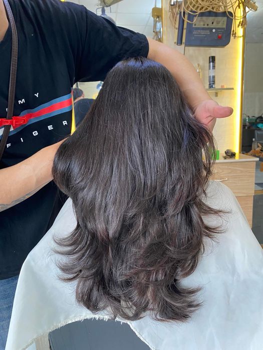 Hình ảnh 2 của Thế Giới Tóc
