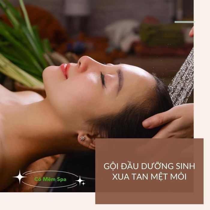Hình ảnh của Cỏ Mềm Spa 1