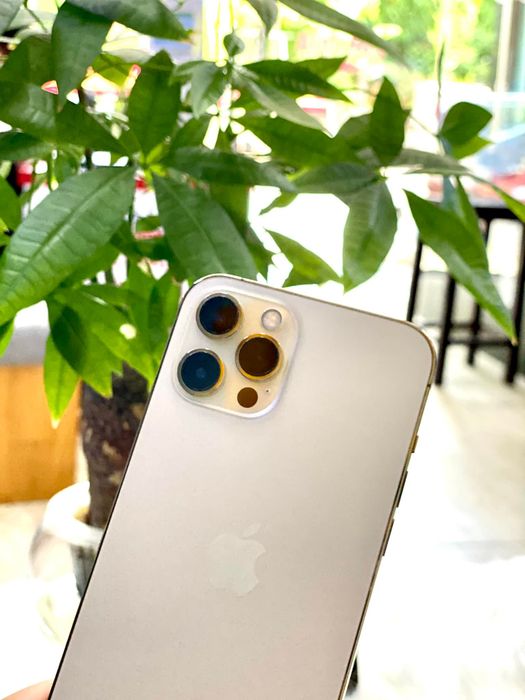 Hình ảnh Hoàng Phát Apple 2