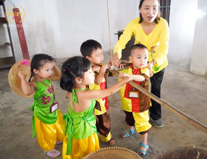 Hình Ảnh Trường Mầm Non Quốc Tế Nguyễn Du Plus 2