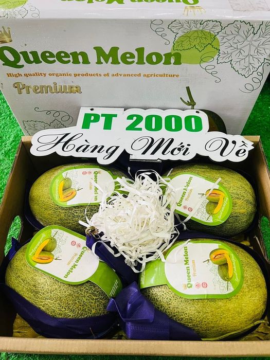 Hình ảnh 2 của PT 2000 Fruits